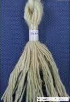 Shepherd Development Project